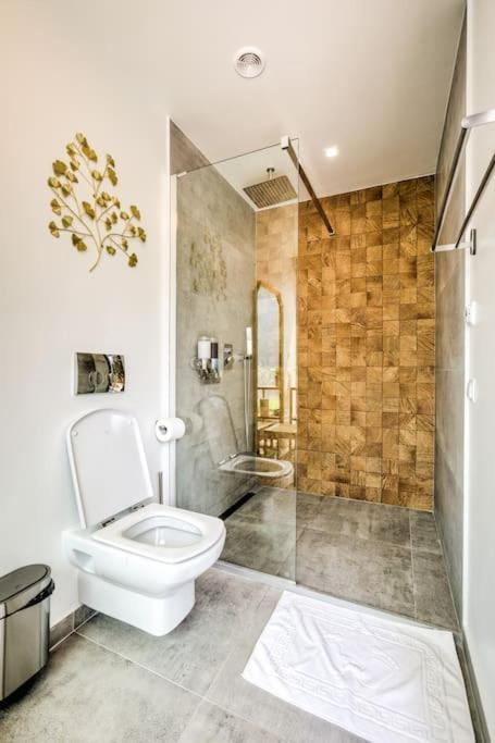 Splendor 3 Bedroom Flat In Silver Mountain ポイアナ・ブラショフ エクステリア 写真